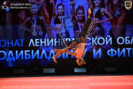 Чемпионат Ленинградской области по бодибилдингу - 2026