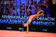 Чемпионат Ленинградской области по бодибилдингу - 2026