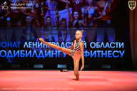 Чемпионат Ленинградской области по бодибилдингу - 2026