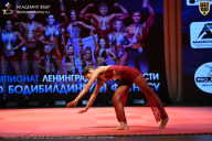Чемпионат Ленинградской области по бодибилдингу - 2026