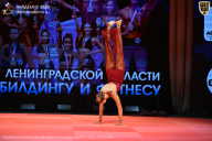 Чемпионат Ленинградской области по бодибилдингу - 2026