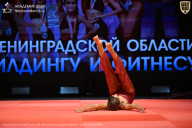 Чемпионат Ленинградской области по бодибилдингу - 2026