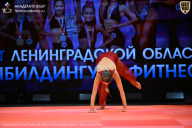 Чемпионат Ленинградской области по бодибилдингу - 2026