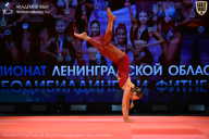 Чемпионат Ленинградской области по бодибилдингу - 2026