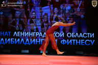 Чемпионат Ленинградской области по бодибилдингу - 2026