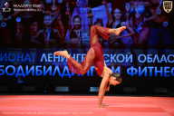 Чемпионат Ленинградской области по бодибилдингу - 2026