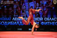 Чемпионат Ленинградской области по бодибилдингу - 2026