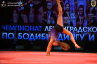 Чемпионат Ленинградской области по бодибилдингу - 2026