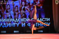 Чемпионат Ленинградской области по бодибилдингу - 2026