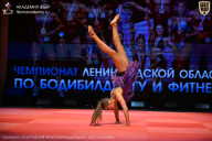 Чемпионат Ленинградской области по бодибилдингу - 2026