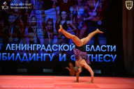 Чемпионат Ленинградской области по бодибилдингу - 2026