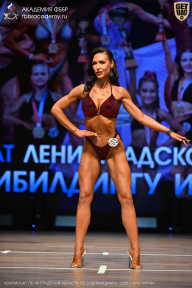 Чемпионат Ленинградской области по бодибилдингу - 2026