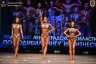 Чемпионат Ленинградской области по бодибилдингу - 2026