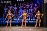 Чемпионат Ленинградской области по бодибилдингу - 2026