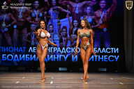 Чемпионат Ленинградской области по бодибилдингу - 2026
