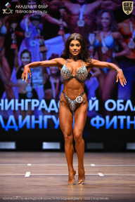 Чемпионат Ленинградской области по бодибилдингу - 2026