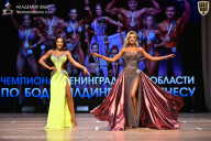 Чемпионат Ленинградской области по бодибилдингу - 2026