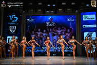 Чемпионат Ленинградской области по бодибилдингу - 2026