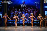 Чемпионат Ленинградской области по бодибилдингу - 2026