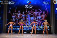 Чемпионат Ленинградской области по бодибилдингу - 2026