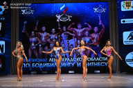 Чемпионат Ленинградской области по бодибилдингу - 2026