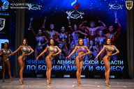 Чемпионат Ленинградской области по бодибилдингу - 2026