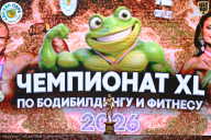 Чемпионат ТЦ XL Мытищи