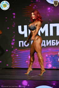 Чемпионат ТЦ XL Мытищи