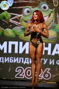 Чемпионат ТЦ XL Мытищи