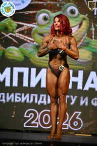 Чемпионат ТЦ XL Мытищи
