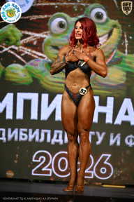 Чемпионат ТЦ XL Мытищи
