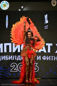 Чемпионат ТЦ XL Мытищи