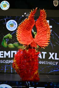 Чемпионат ТЦ XL Мытищи