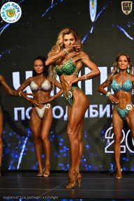 Чемпионат ТЦ XL Мытищи