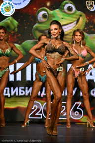 Чемпионат ТЦ XL Мытищи