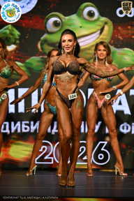 Чемпионат ТЦ XL Мытищи