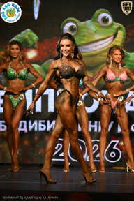 Чемпионат ТЦ XL Мытищи