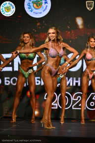 Чемпионат ТЦ XL Мытищи