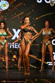 Чемпионат ТЦ XL Мытищи