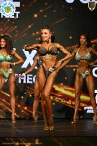 Чемпионат ТЦ XL Мытищи