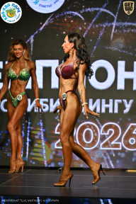 Чемпионат ТЦ XL Мытищи