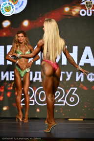 Чемпионат ТЦ XL Мытищи
