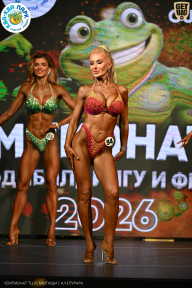 Чемпионат ТЦ XL Мытищи