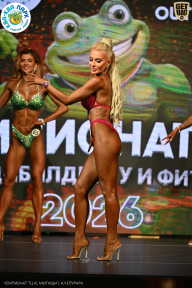 Чемпионат ТЦ XL Мытищи