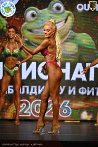 Чемпионат ТЦ XL Мытищи