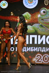 Чемпионат ТЦ XL Мытищи