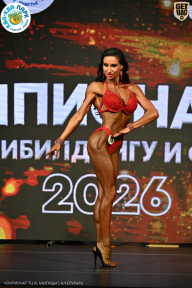 Чемпионат ТЦ XL Мытищи