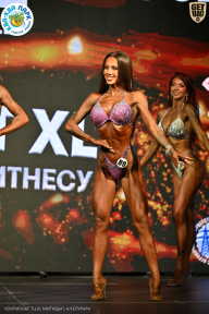 Чемпионат ТЦ XL Мытищи