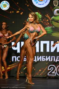 Чемпионат ТЦ XL Мытищи