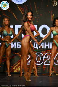 Чемпионат ТЦ XL Мытищи